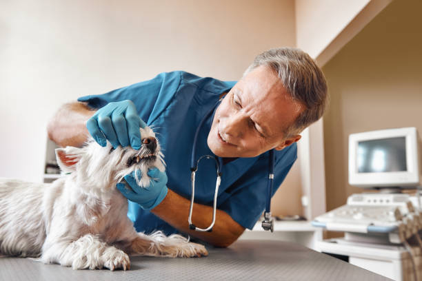 Best Emergency Tooth Extraction in Stuttgt, AR